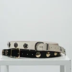 Bullet belt